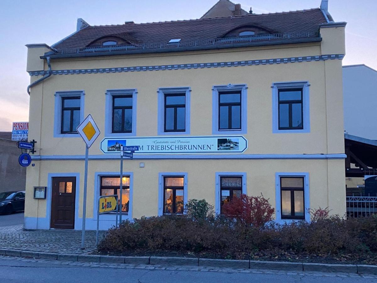 Fewo Am Triebischbrunnen Майсен Екстериор снимка